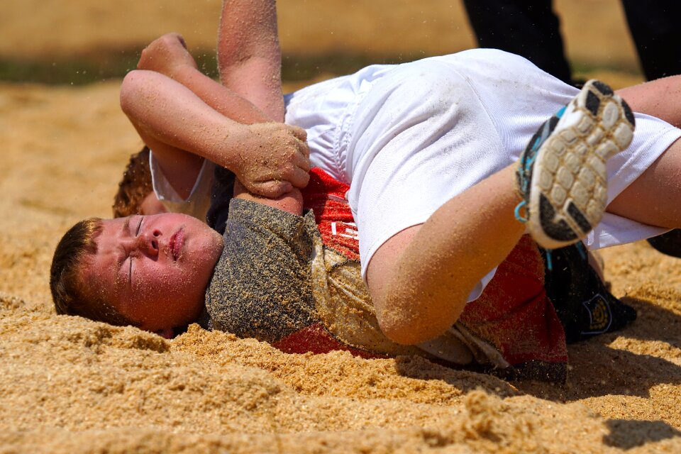 Sawdust guys competition