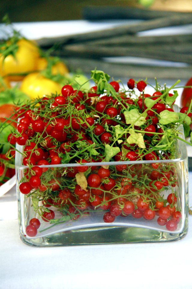 Festival de la tomate à Clapiers (Hérault)