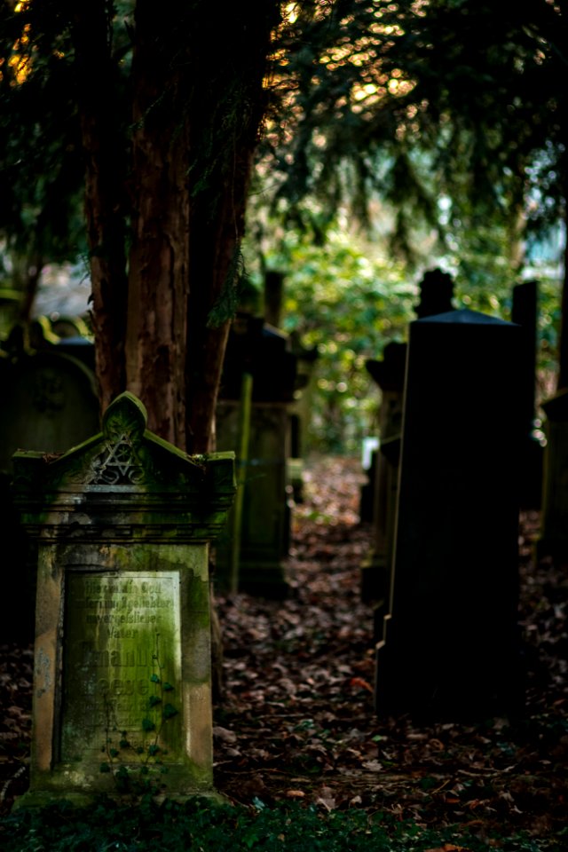 Neulich auf dem Friedhof photo