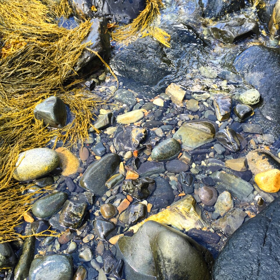 Natural ocean maine