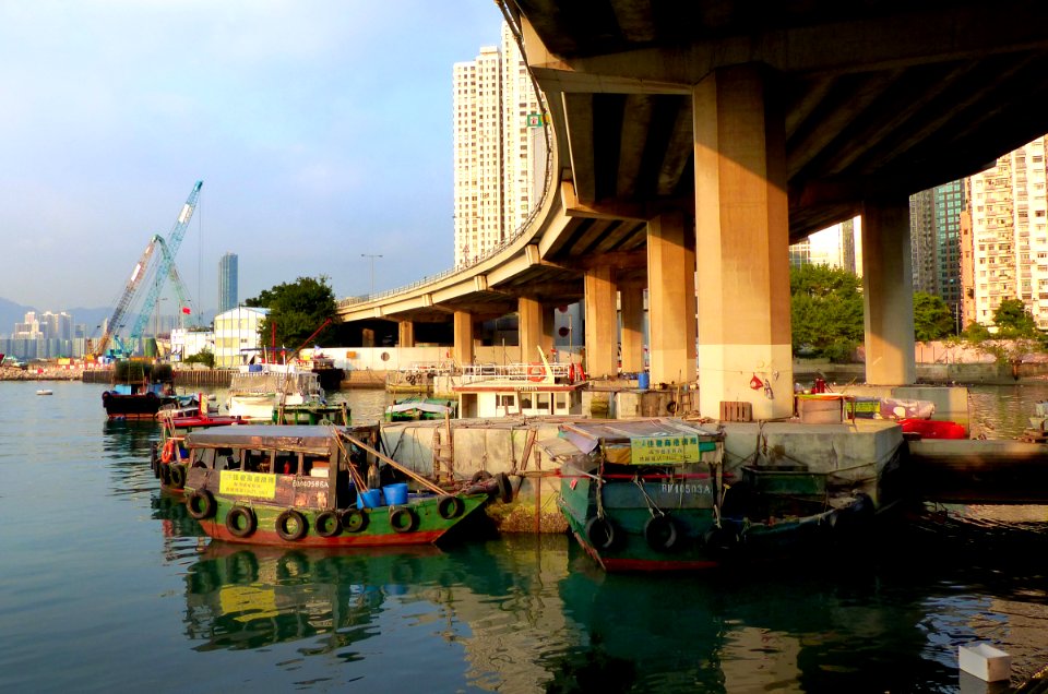 Causeway Bay Typhoon Shelter