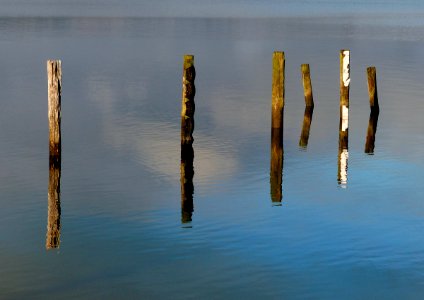 Once was a Jetty. Te Anau. NZ