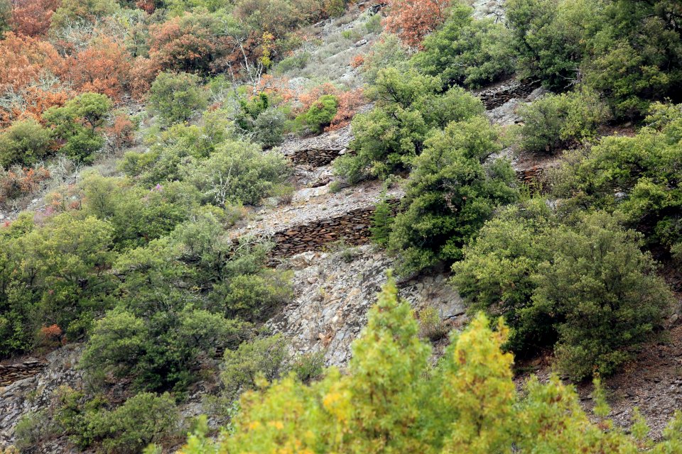 Malgré la forte pente, les murs tiennent encore.