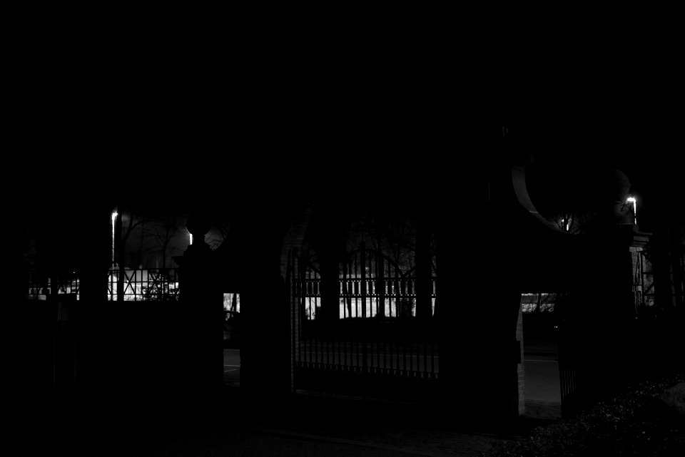 Neulich auf dem Friedhof (2)