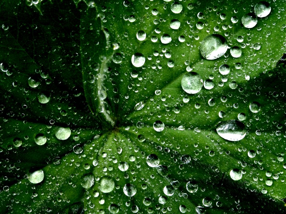 Nature environment macro