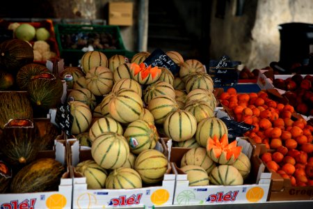 Les melons charentais du Gard