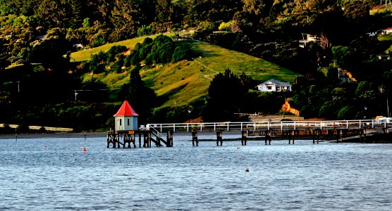 French Bay Akaroa.NZ. photo