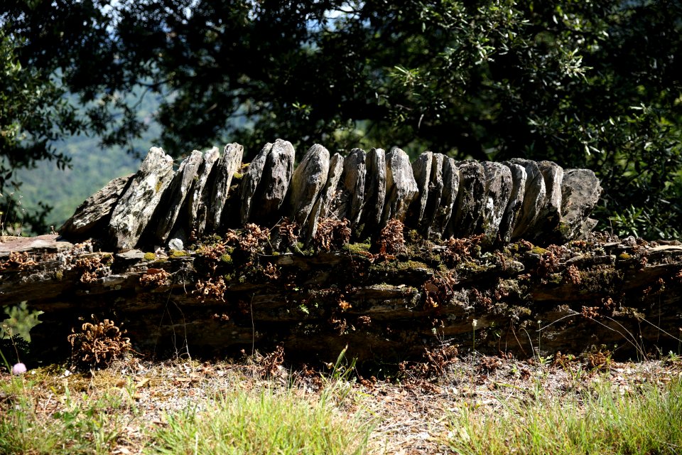 Cévennes.