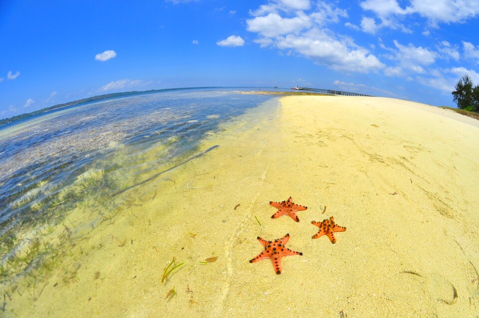 Sea ocean holiday