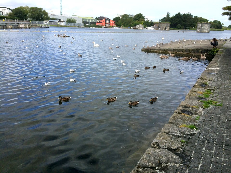 Woodquay Waterfront