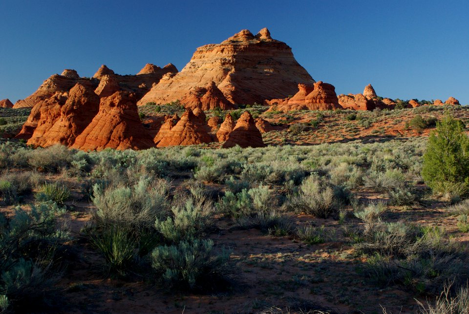 07 - South Coyote Buttes -40