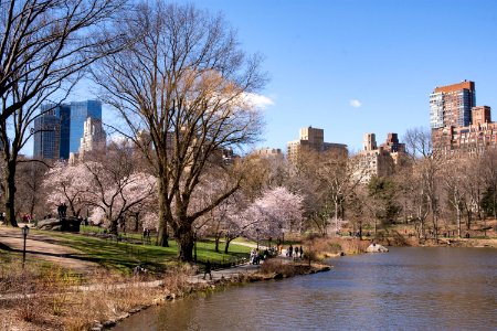 Central Park in New York City photo