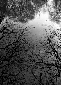 Spieglein, Spieglein auf dem Wasser photo