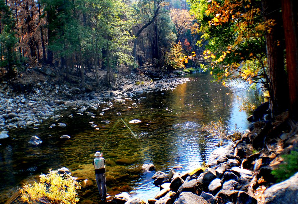 Yosemite National Park