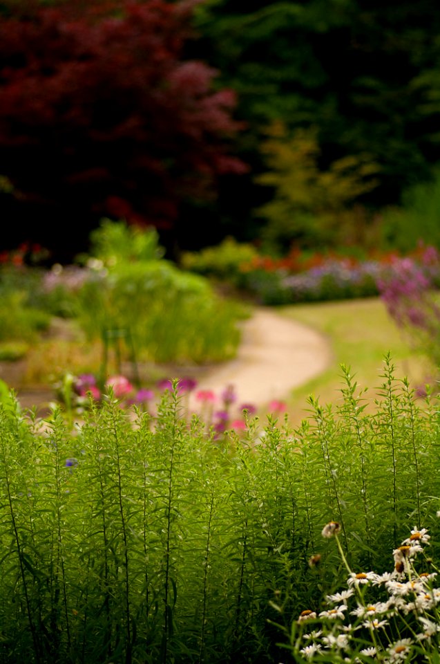 Botanischer Garten