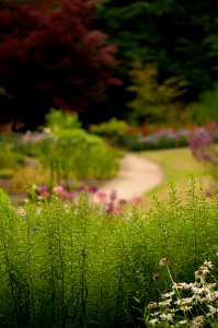 Botanischer Garten photo