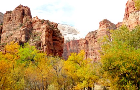 Zion National Park.Utah.