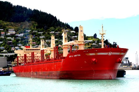 MAPLE AMBITION ( Bulk Carrier)