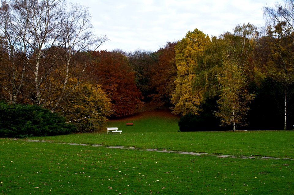 Spaziergang im Stadtpark 3
