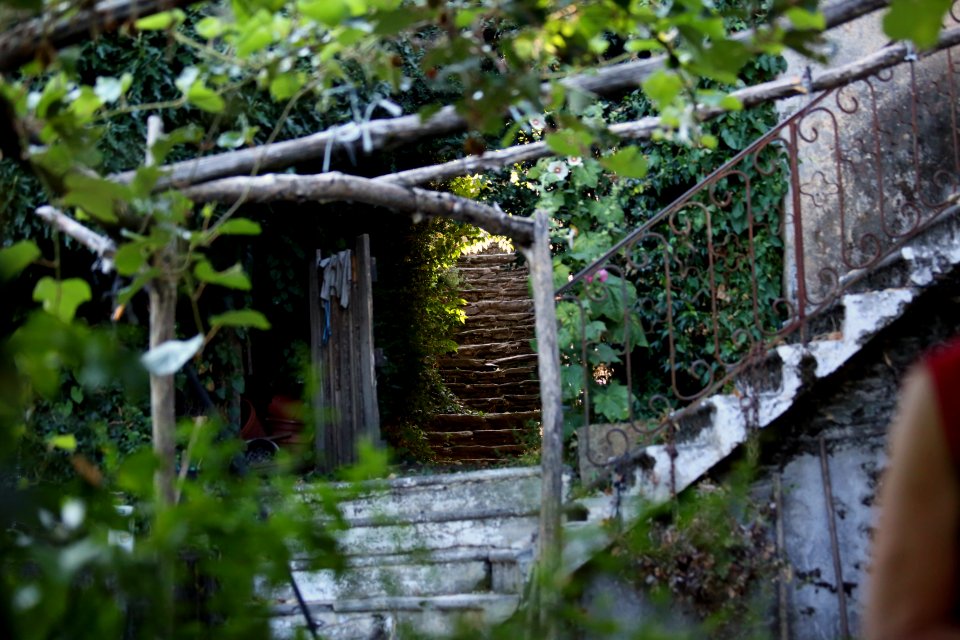 Cévennes