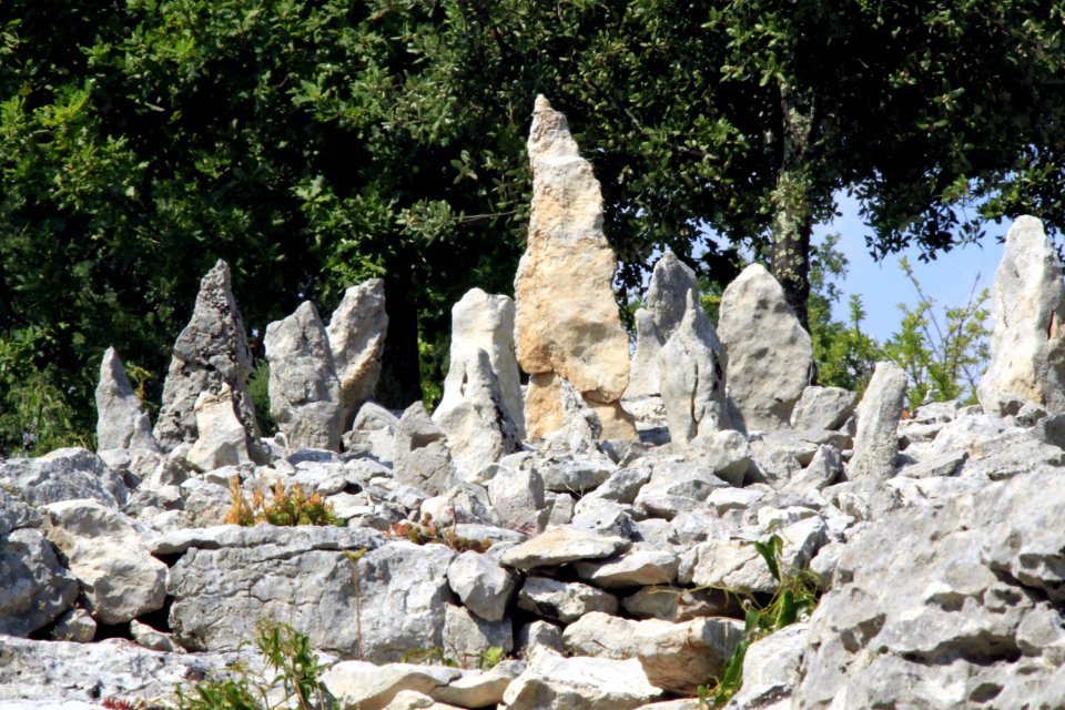 Jardin minéral photo