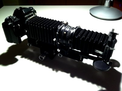 Pentax LX + Auto Bellows M + M50/1.7 + Slide Copier M