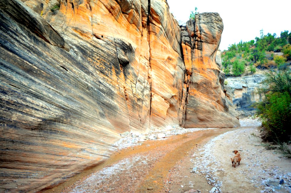 Chalupa Contemplates Sandstone Cliffs