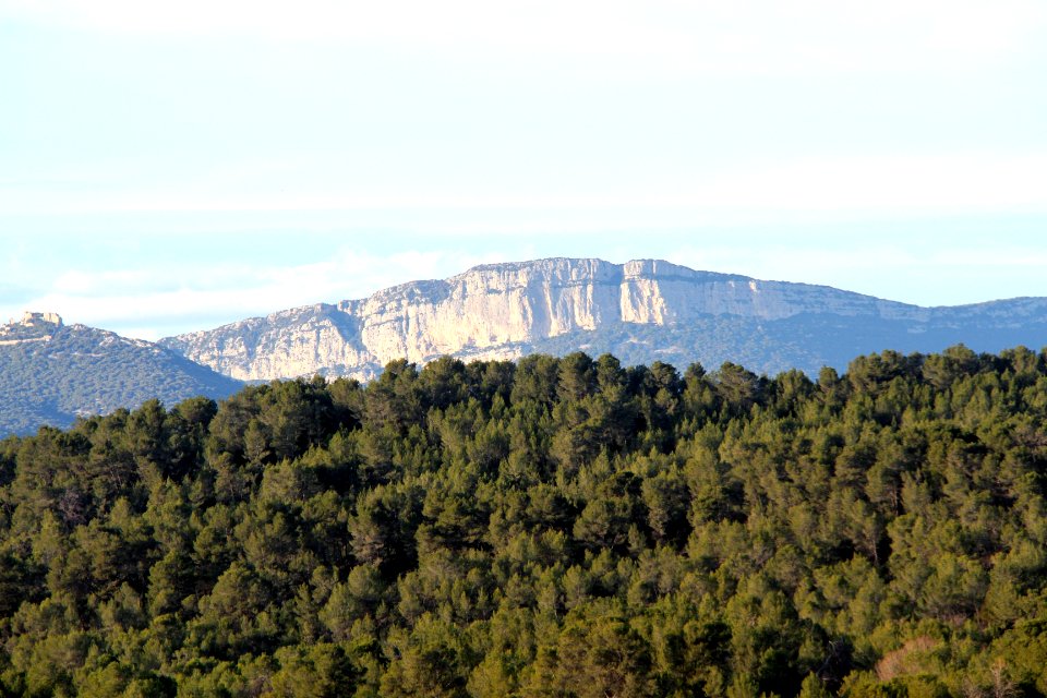 La falaise de l'Hortus