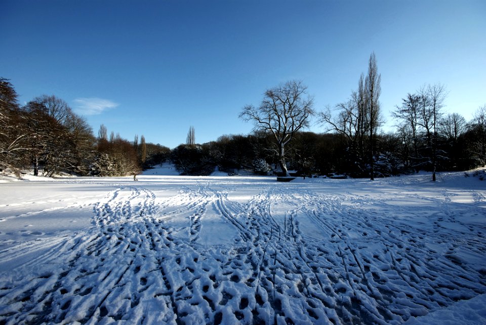 Teich im Stadtpark