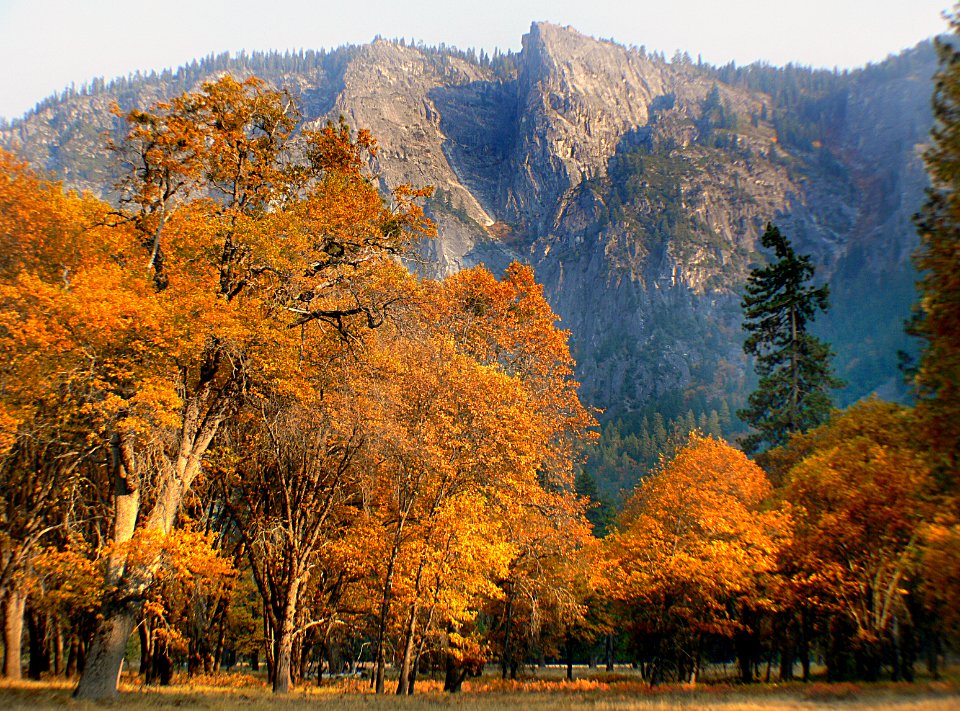 Yosemite National Park