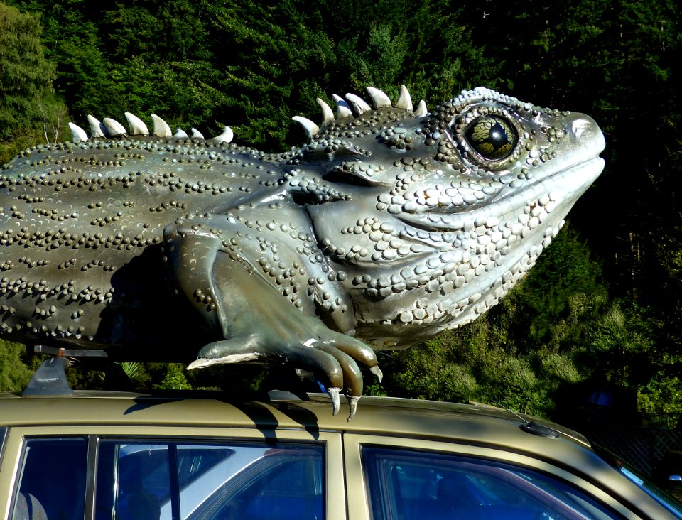 Check the roof before driving off.