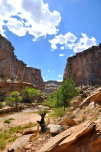 Cottonwood Canyon