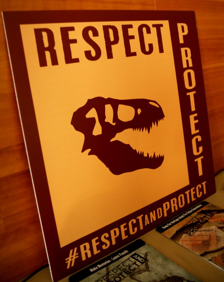 Respect and Protect Hashtag