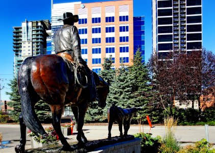 Urban Cowboy. Stampede town.Calgary.