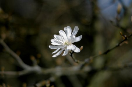 20110327-IMGP7303