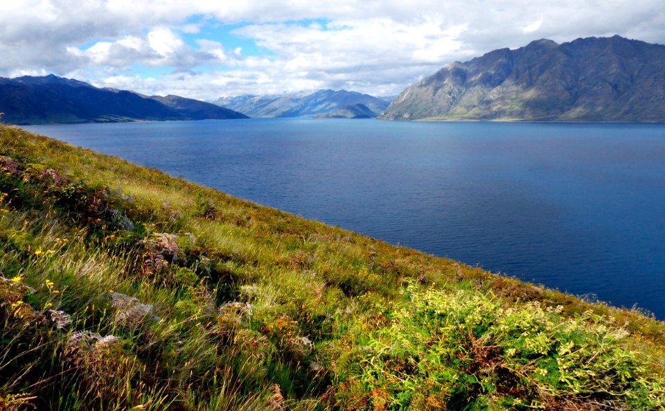 Lake Hawea. Otago. New Zealand. photo