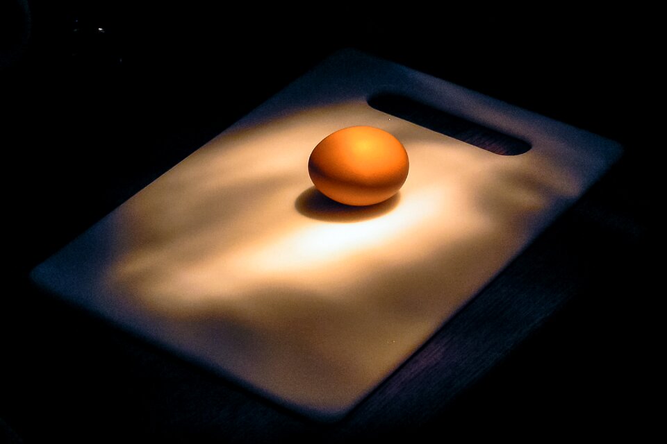 Egg shadow meal