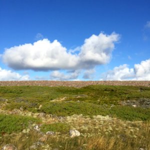 Sharp edge