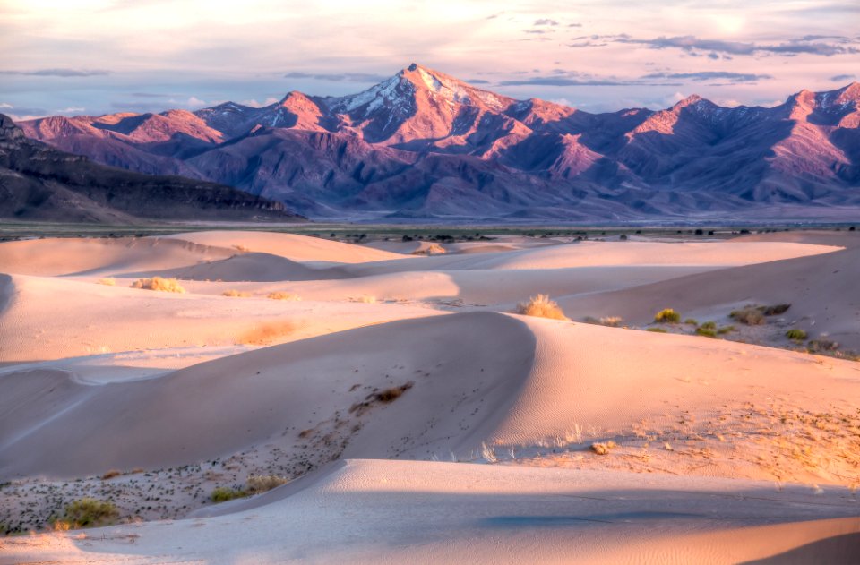 LSRA Dunes Landscape