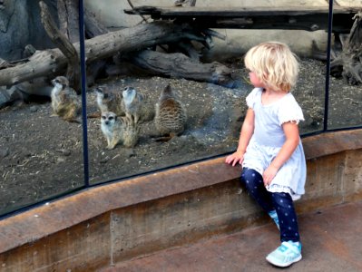 Day at the zoo. photo