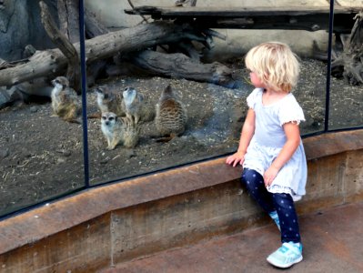 Day at the zoo.