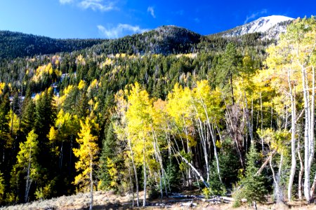 Deep Creek Mountains