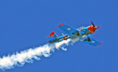 Yak 52. photo