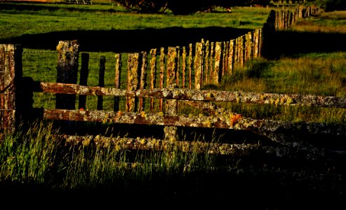 A rural fence. photo