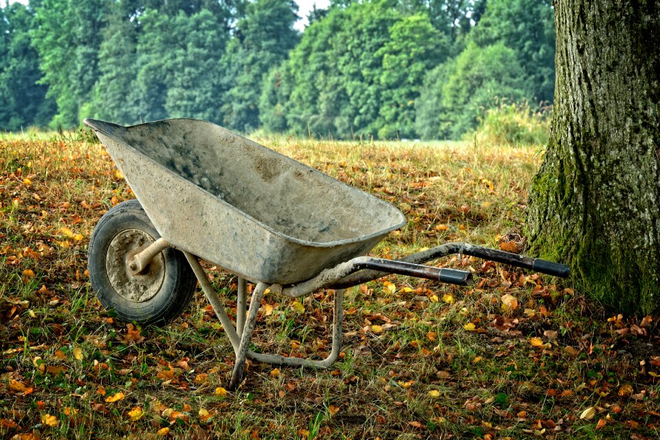 Craft cart transport