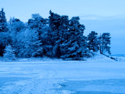 Blue Hour photo