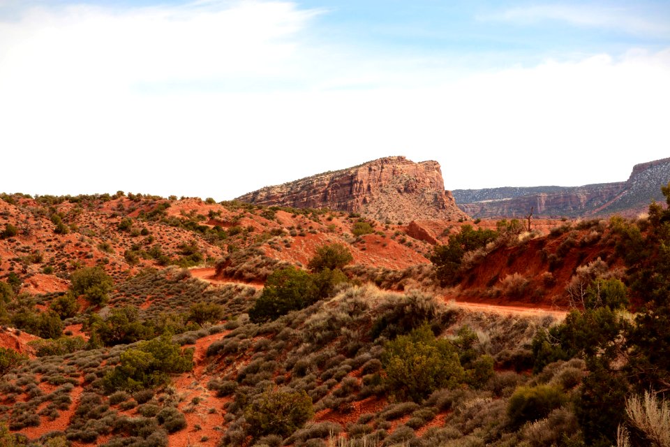 Onion Creek Trail Suth 03-14-17 10