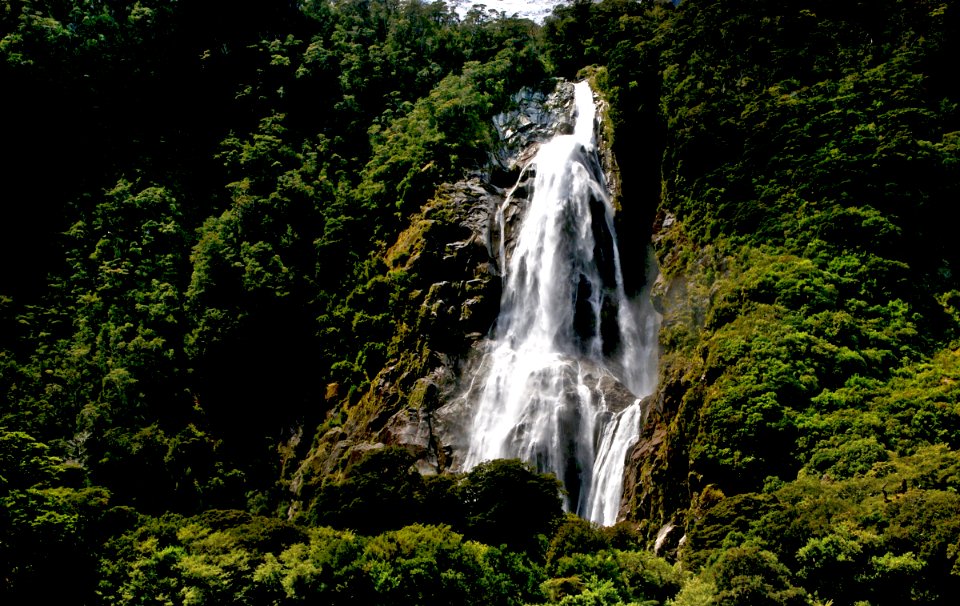 On Milford Sound.