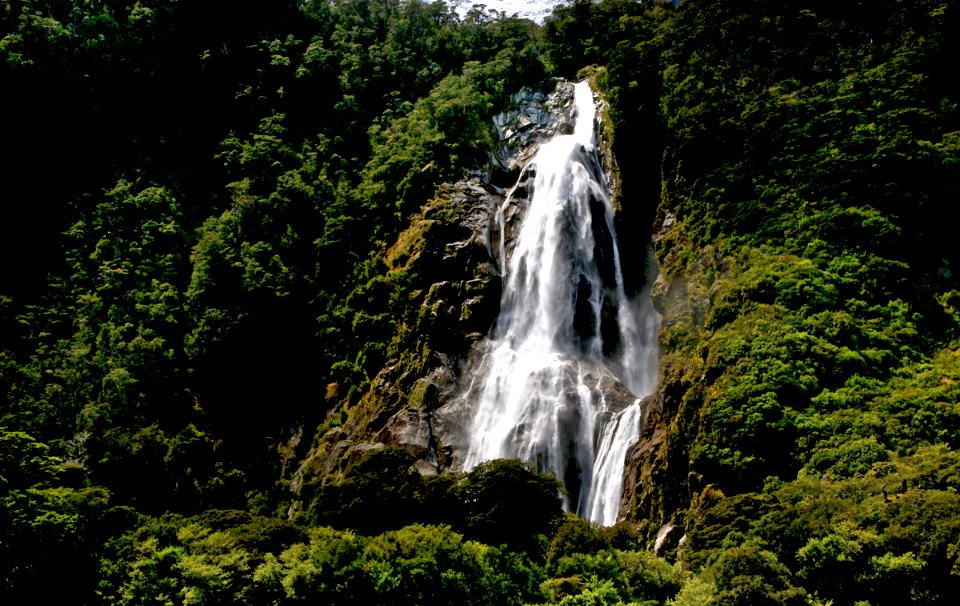 On Milford Sound. photo