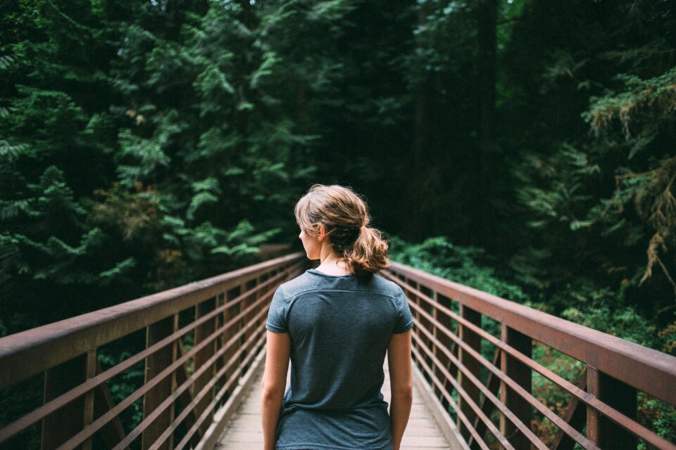 Footbridge crossing forest
